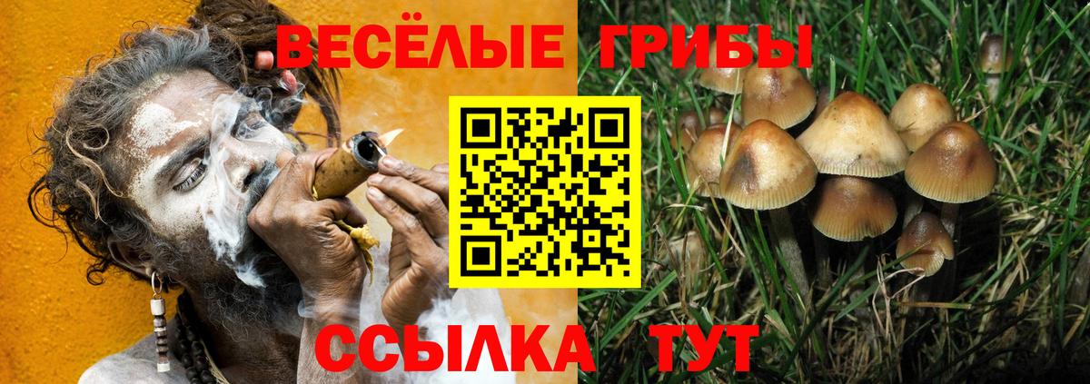 Галлюциногенные грибы GOLDEN TEACHER  Вход с VPN  Кирово-Чепецк  Псилоцибиновые грибы Psilocybe 